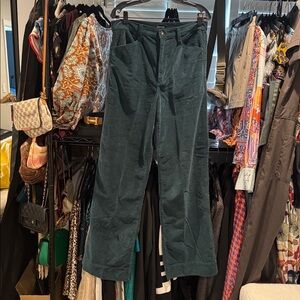 Favorite Daughter Forest Velvet Trousers